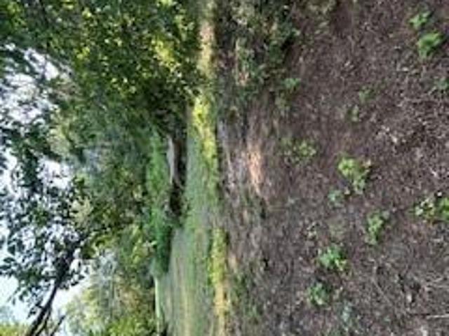 Land for sale in Duncan