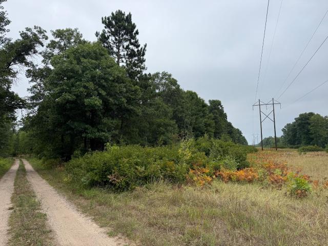 Land for sale in Minnesota