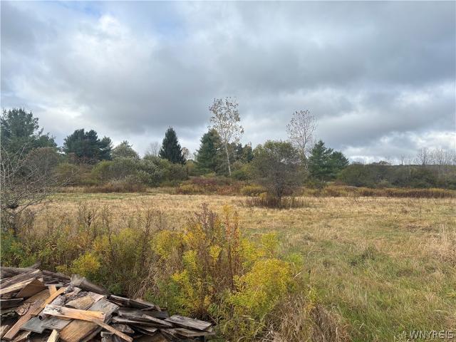 Land for sale in New York