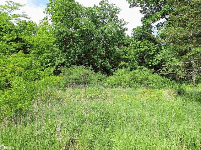 Land for sale in Iowa Falls, Iowa