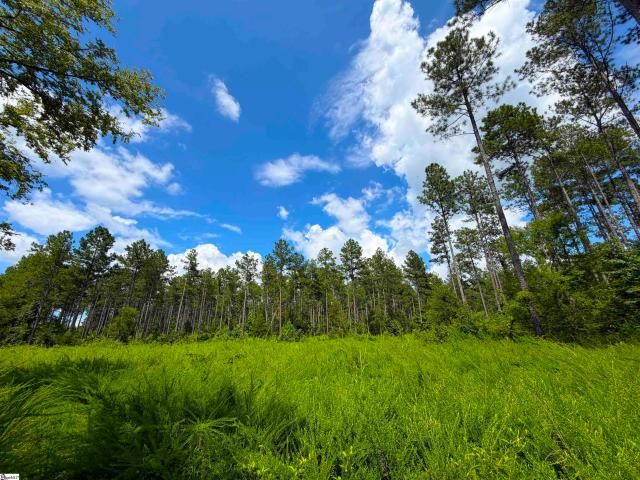 Land for sale in Calhoun Falls, South Carolina