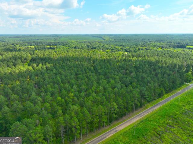 Land for sale in Calhoun Falls, South Carolina