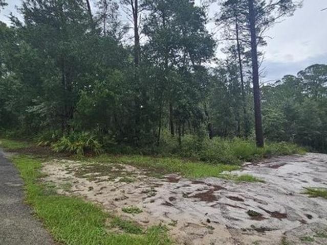 Land for sale in Carrabelle, Franklin County