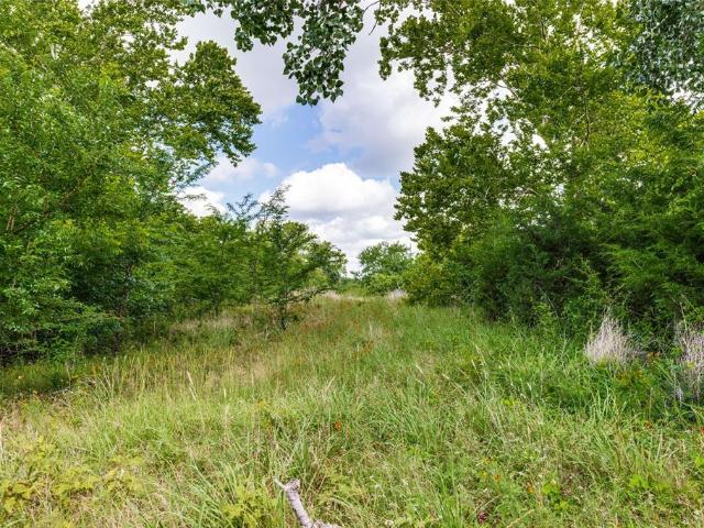 Land for sale in Fannin, Texas