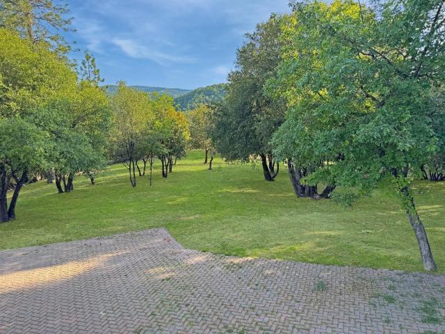 House for sale in North San Juan, California