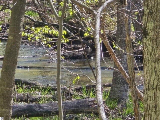 Land for sale in Evart, Michigan