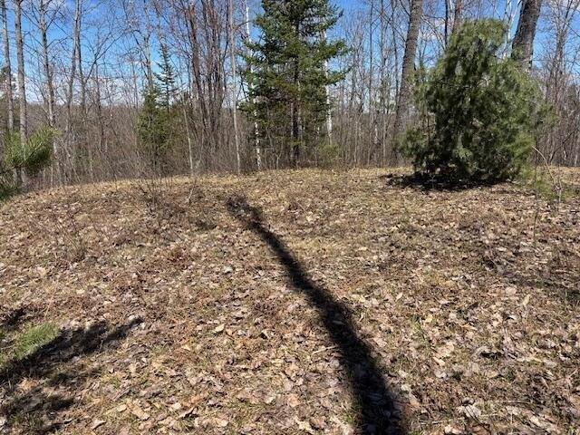 Land for sale in Frederic, Michigan
