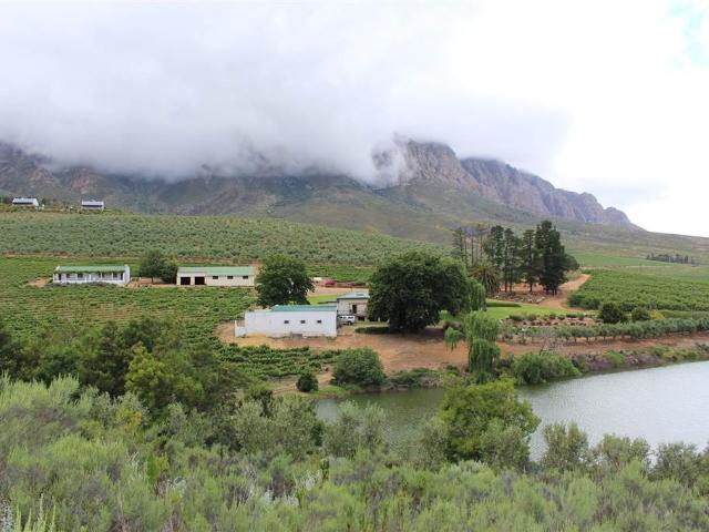 Farm for sale in Durbanville, Western Cape
