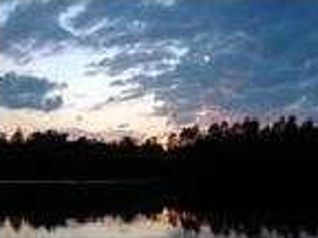 House for rent in Florence, Alabama