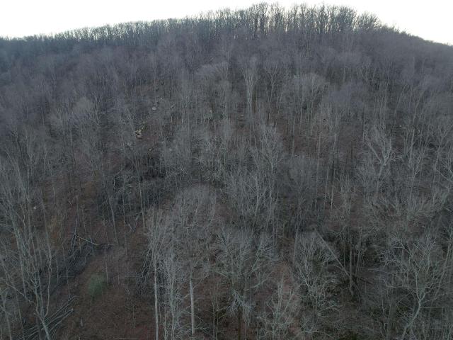 Land for sale in Jackson County, Alabama