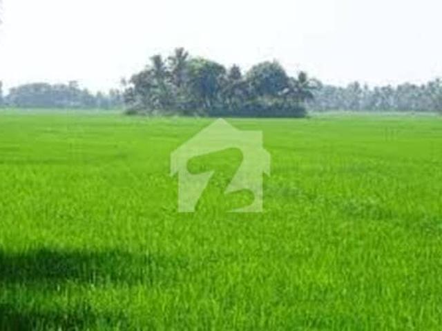Land for sale in Kasur, Islamabad Capital Territory