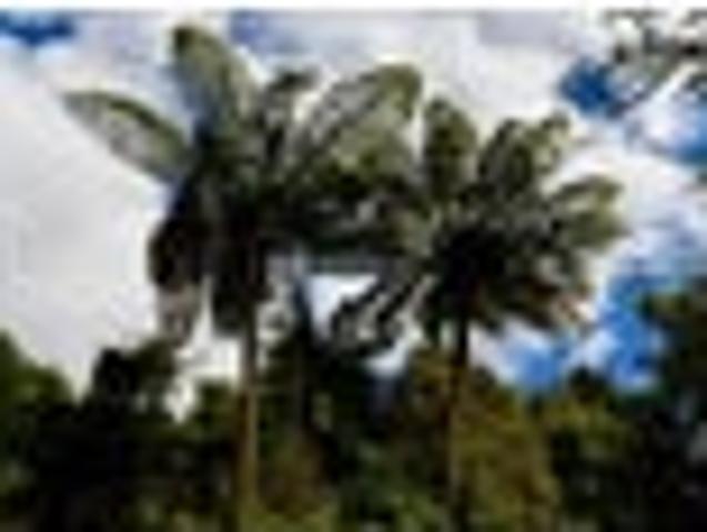 Land for sale in West Coast