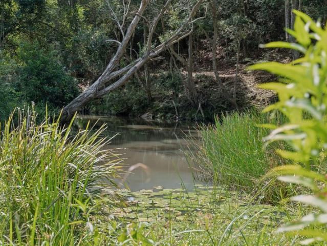 Cottage for sale in New South Wales