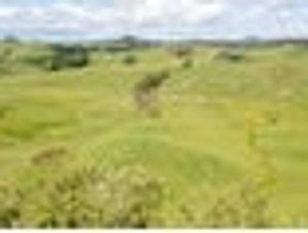 Land for sale in Kawau Island