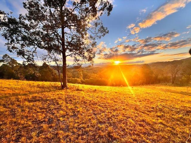Cottage for sale in Bunyah, New South Wales