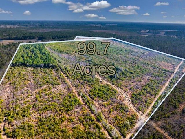 Land for sale in Nichols, South Carolina
