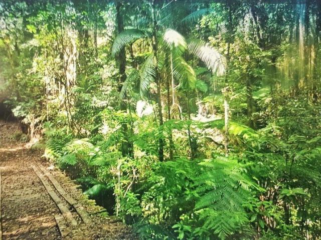 Land for sale in Missabotti, New South Wales