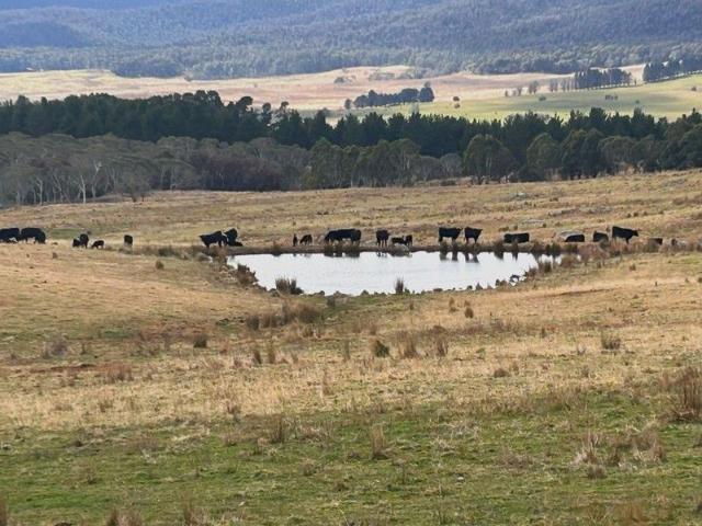 Land for sale in Krawarree, New South Wales