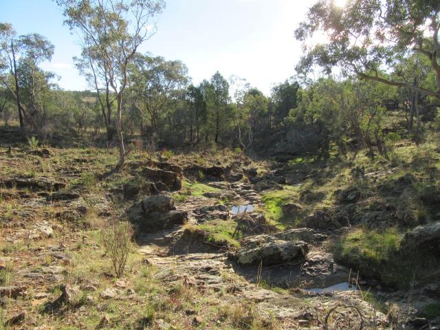 Property for sale in Coonabarabran, New South Wales
