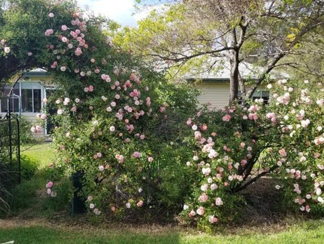 Acreage for sale in Coonabarabran, New South Wales