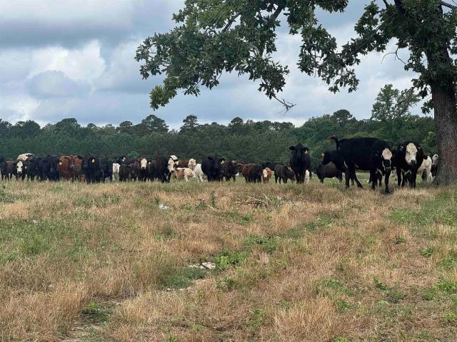 Land for sale in Ark