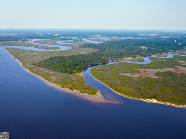 Land for sale in Georgia