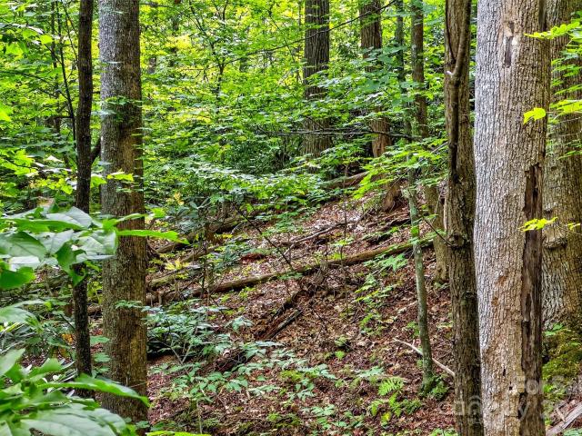 Land for sale in Black Mountain, North Carolina