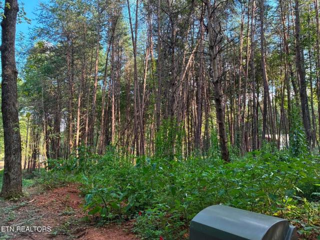 Land for sale in Tennessee