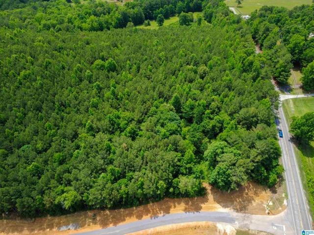 Land for sale in Odenville, St. Clair County