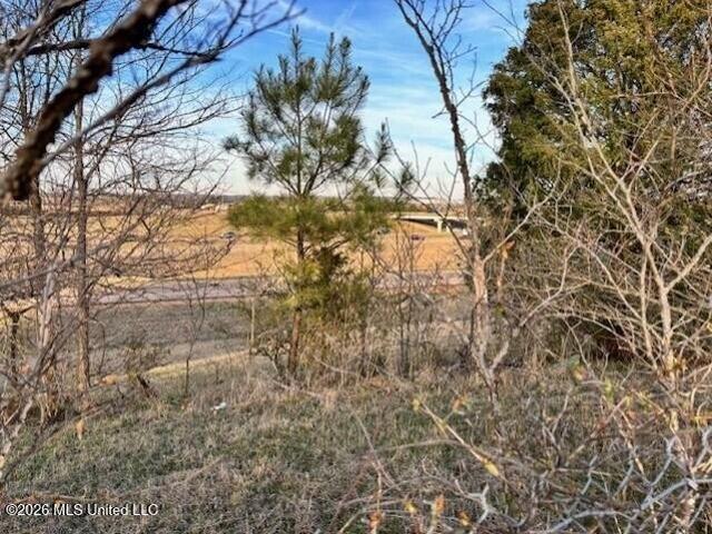 Land for sale in Byhalia, Mississippi