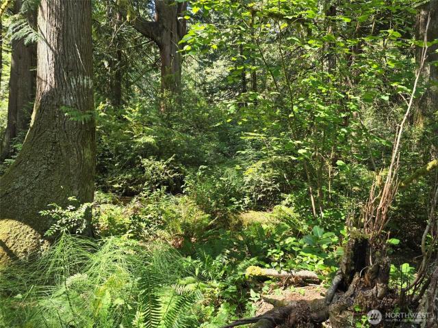 Land for sale in Shelton, Washington