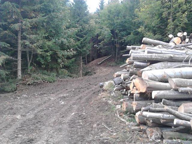 Terreno in vendita a Schio, Veneto