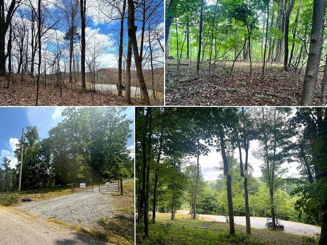 Land for sale in Waverly, Pike County