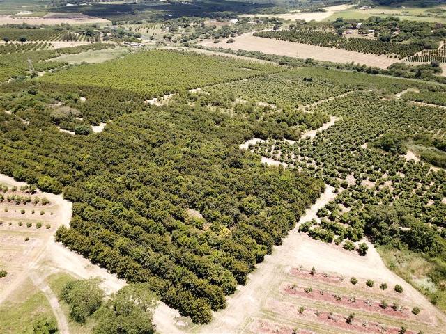Commercial Land for sale in Mpumalanga