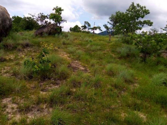 100 has cerca de Acapulco Guerrero