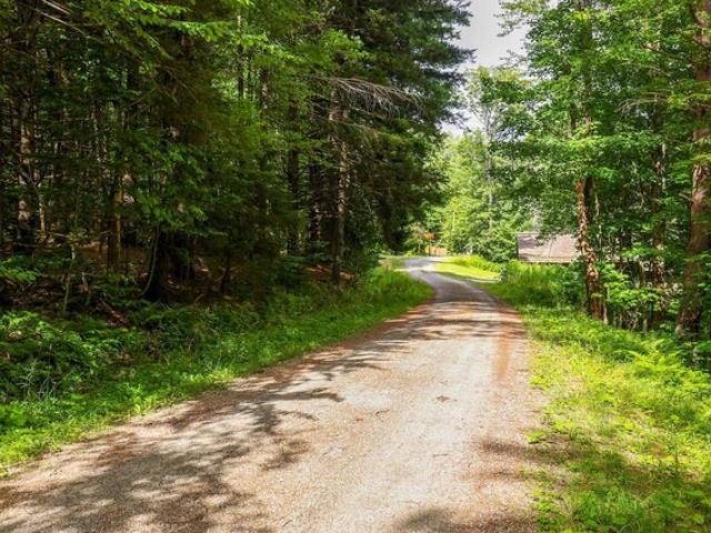 Land for sale in Pittsfield, Vermont
