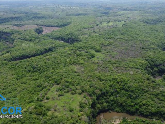 Rancho en venta en Veracruz