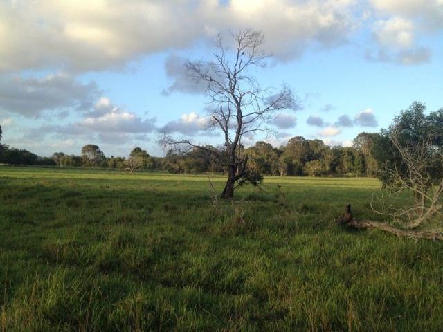 Land for sale in Cootharaba, Queensland