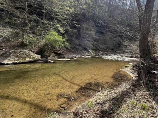 Land for sale in Tennessee