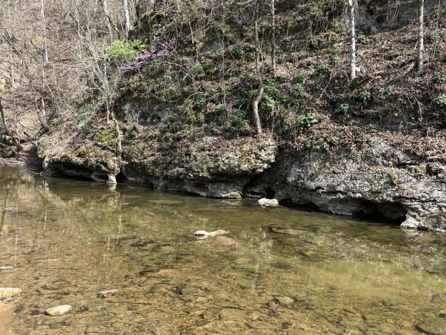 Land for sale in Tennessee