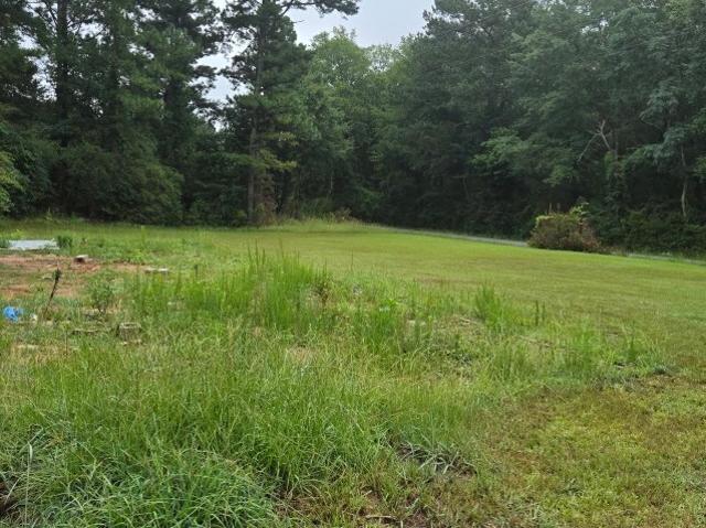 Land for sale in Monticello, Georgia