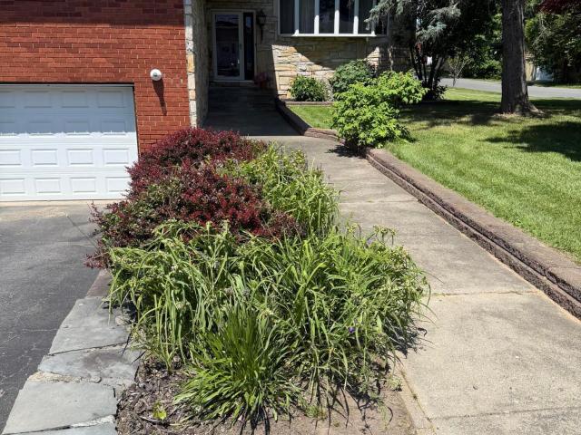 House for sale in Albany, New York