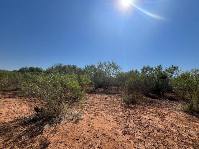 Land for sale in Jourdanton, Texas