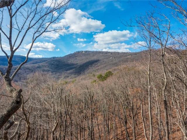 House for sale in Big Canoe, Jasper