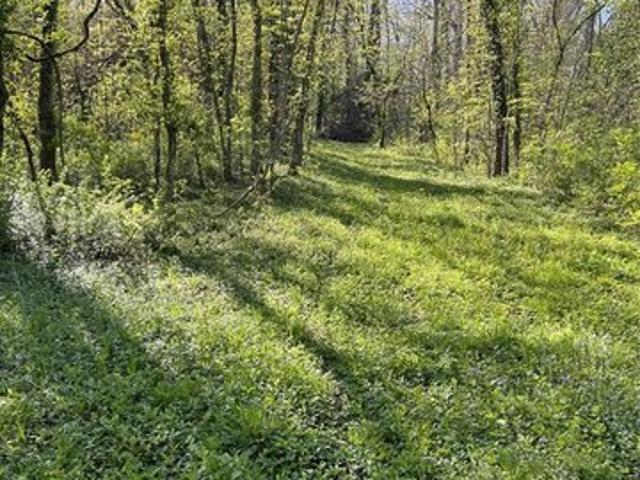 Land for sale in Wright City, Missouri