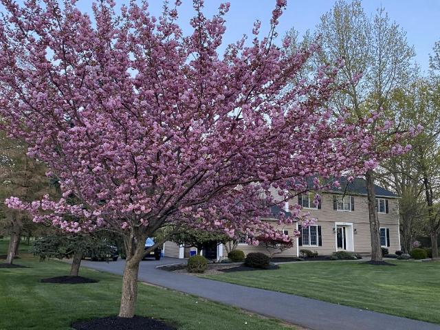 House for sale in Belle Mead, New Jersey