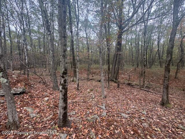 Land for sale in Childs, Pennsylvania