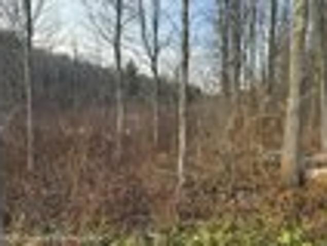 Land for sale in Childs, Pennsylvania