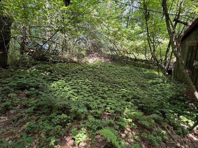 Land for sale in New Hampshire