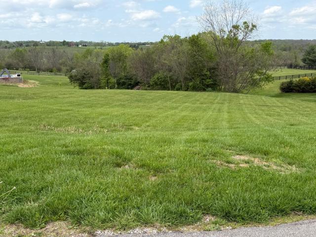 Land for sale in Versailles, Kentucky